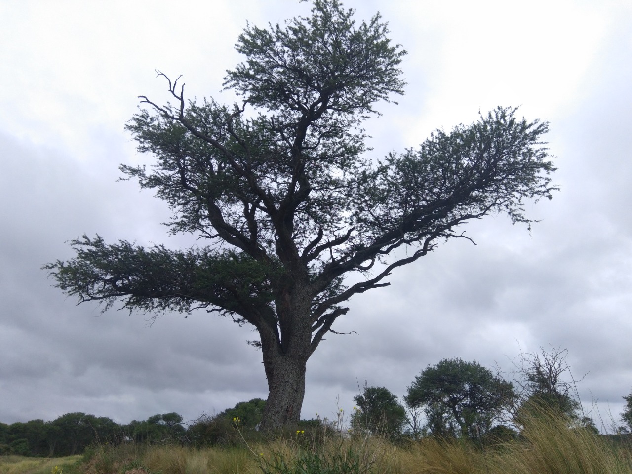 parque luro2