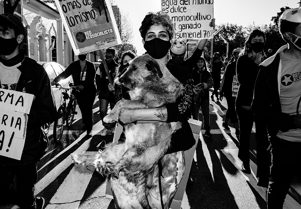 veganismo septiembre ladag 3