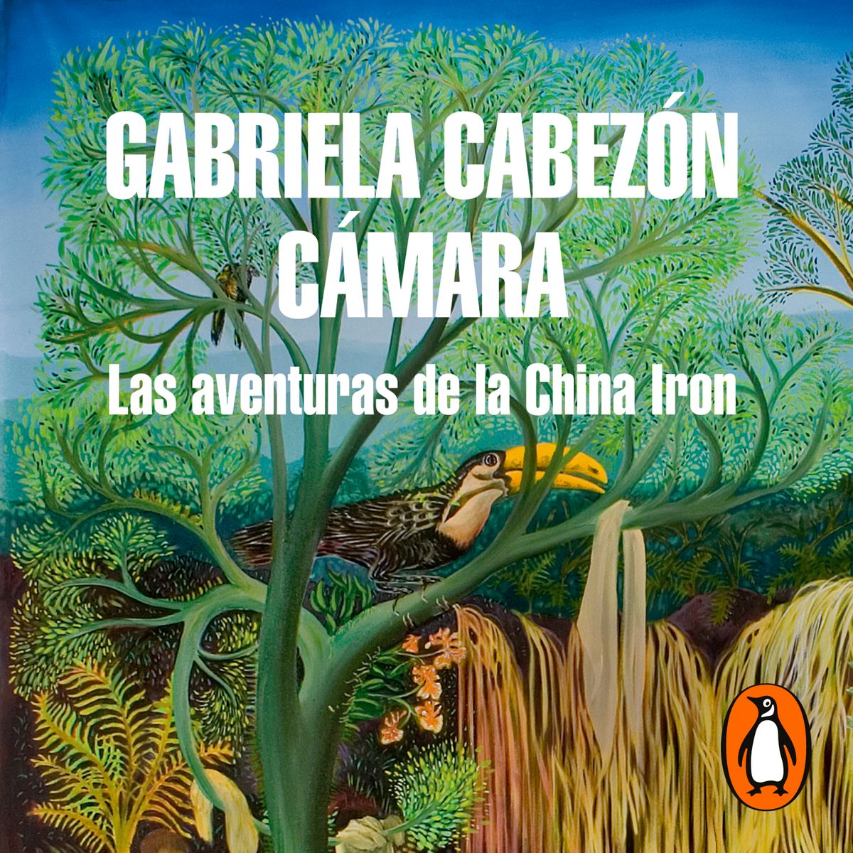 las aventuras de la china iron 1