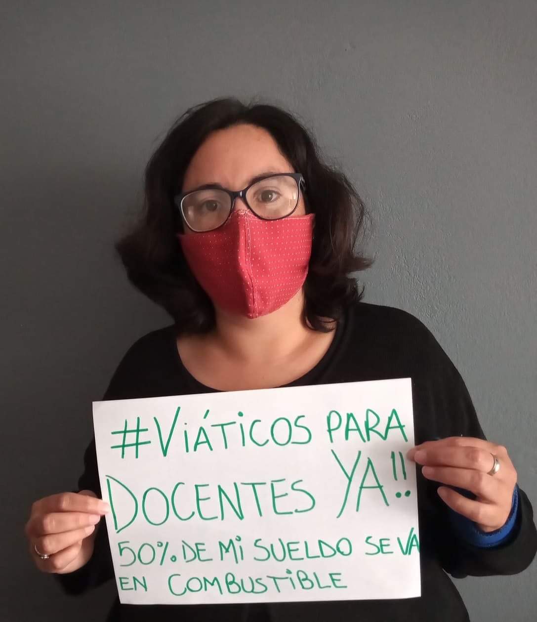 docentes viaticos