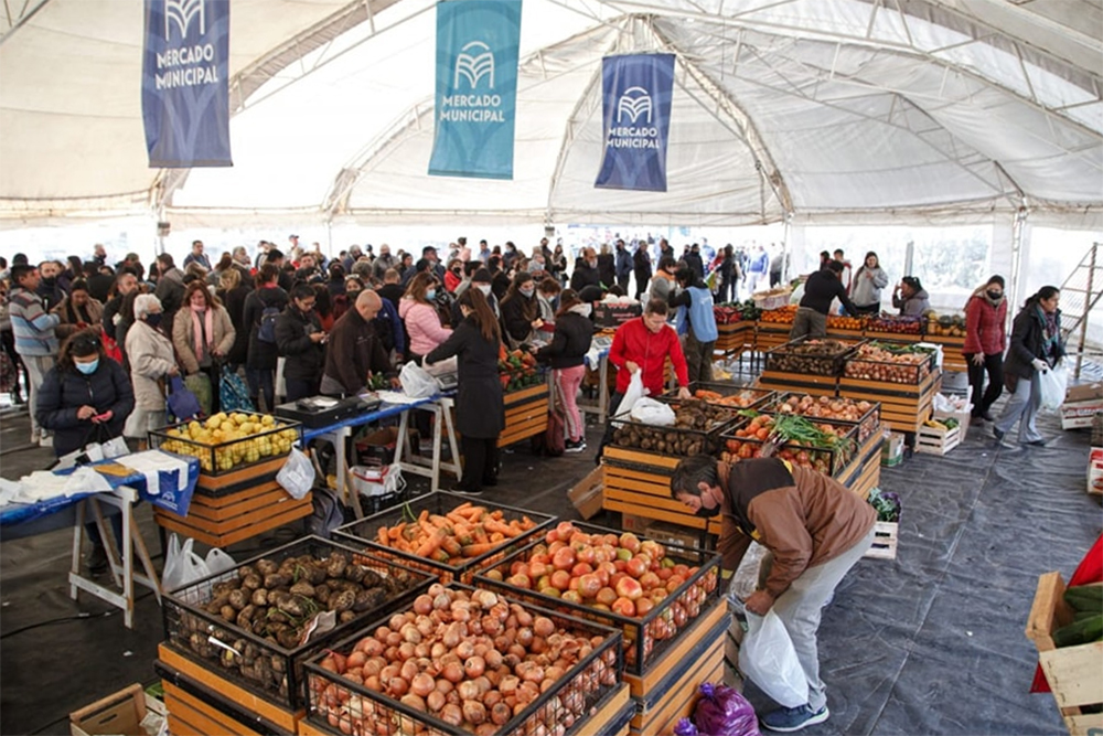 mercado municipal seis