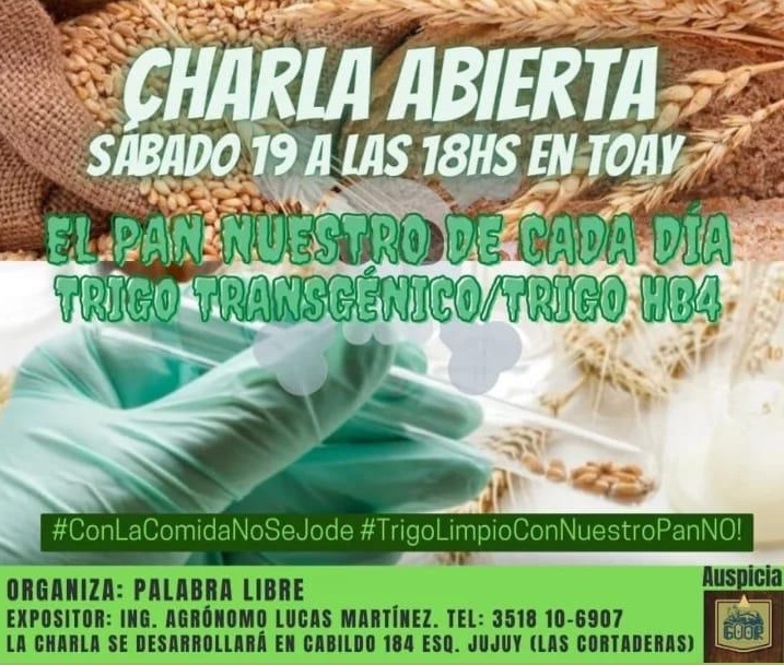 charla trigo