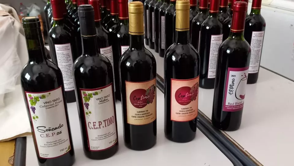 vino ceptimo 25 2