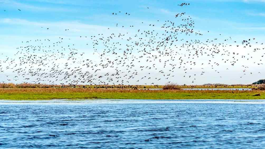 turismo esteros del iberá