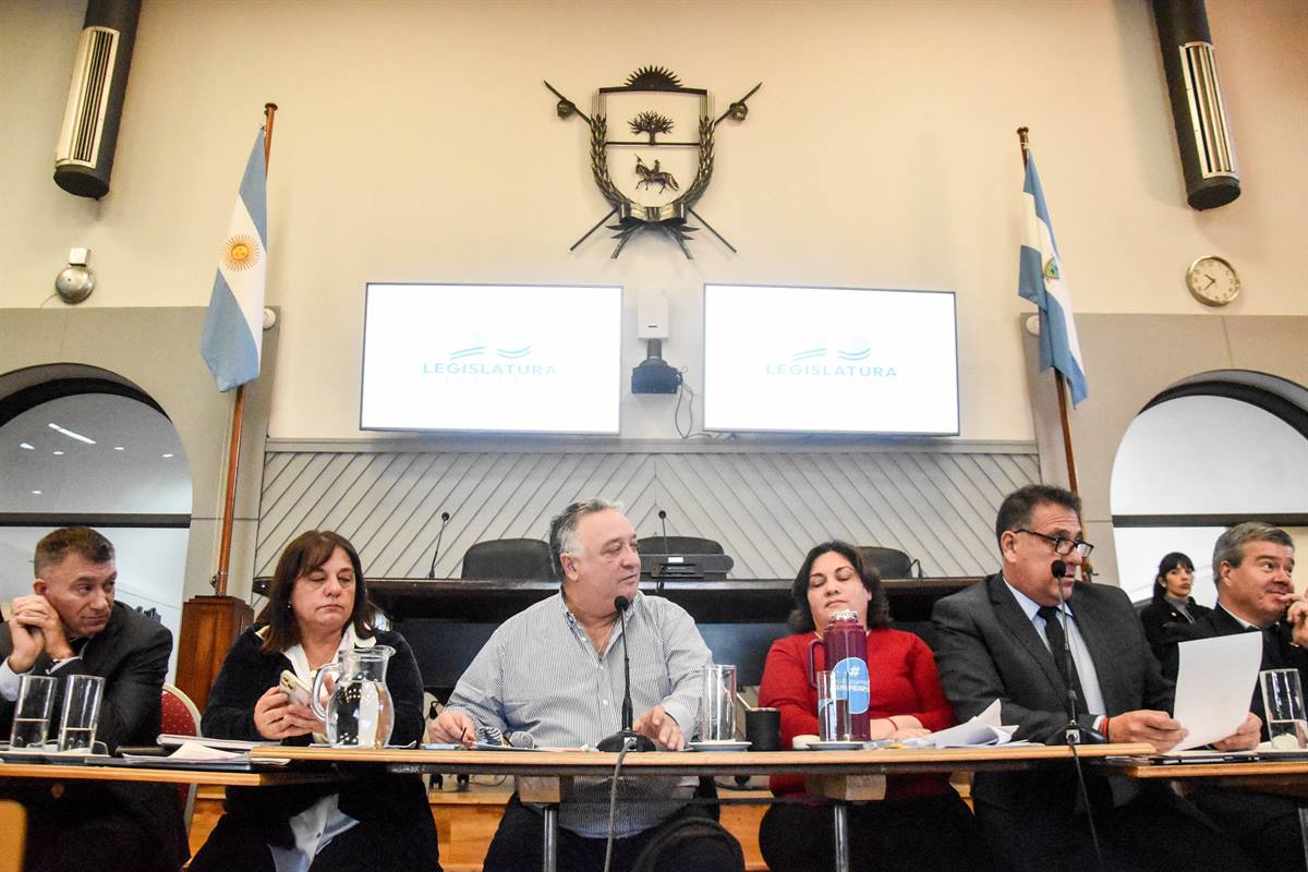 aporte solidario diputados ladag 1