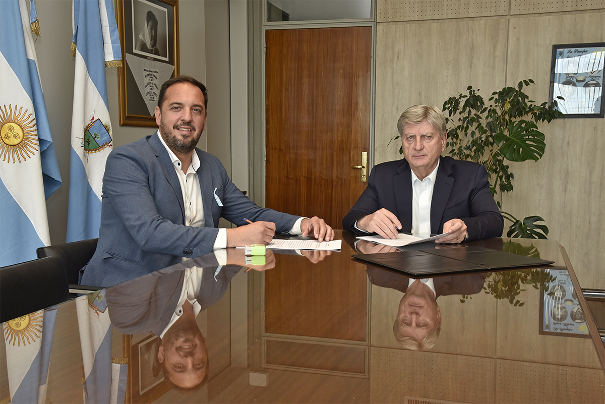 ziliotto di napoli 2024 apn