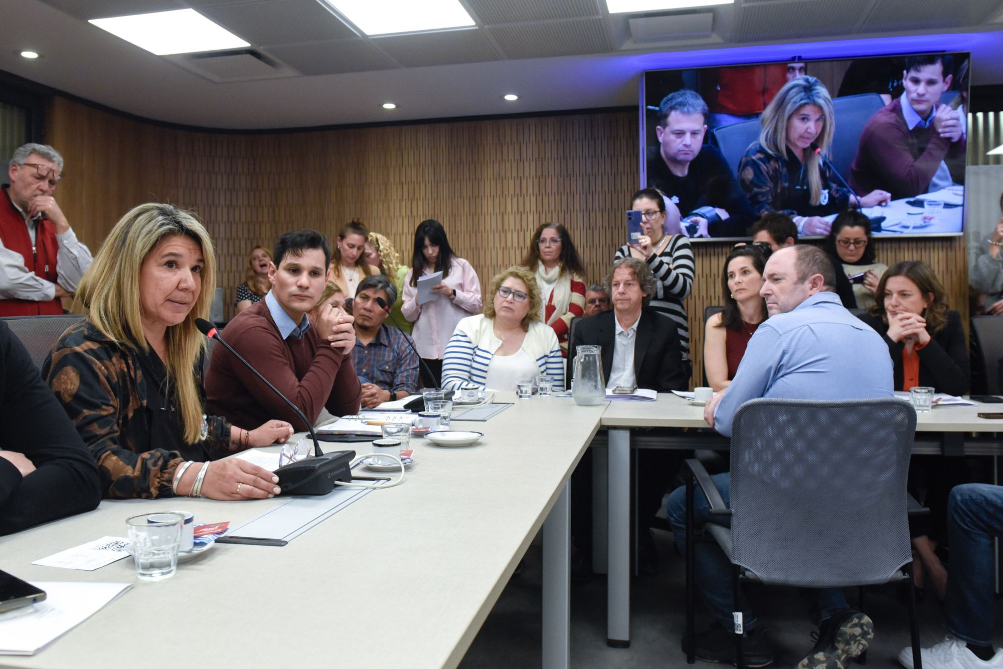 camara de diputados comision tres