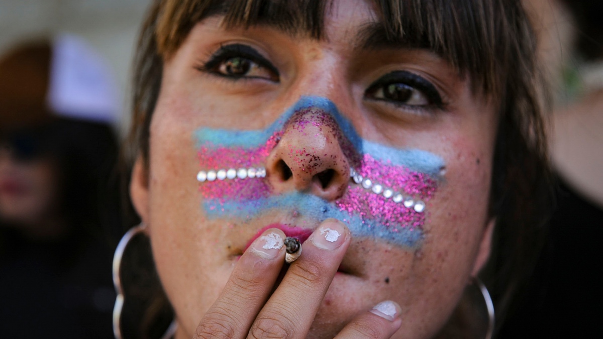 colectivo travesti trans telam