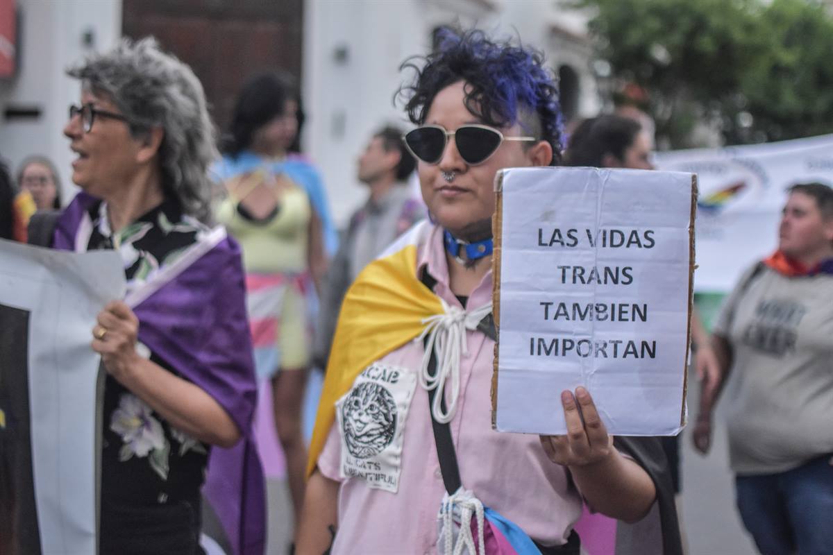 vida trans ladag