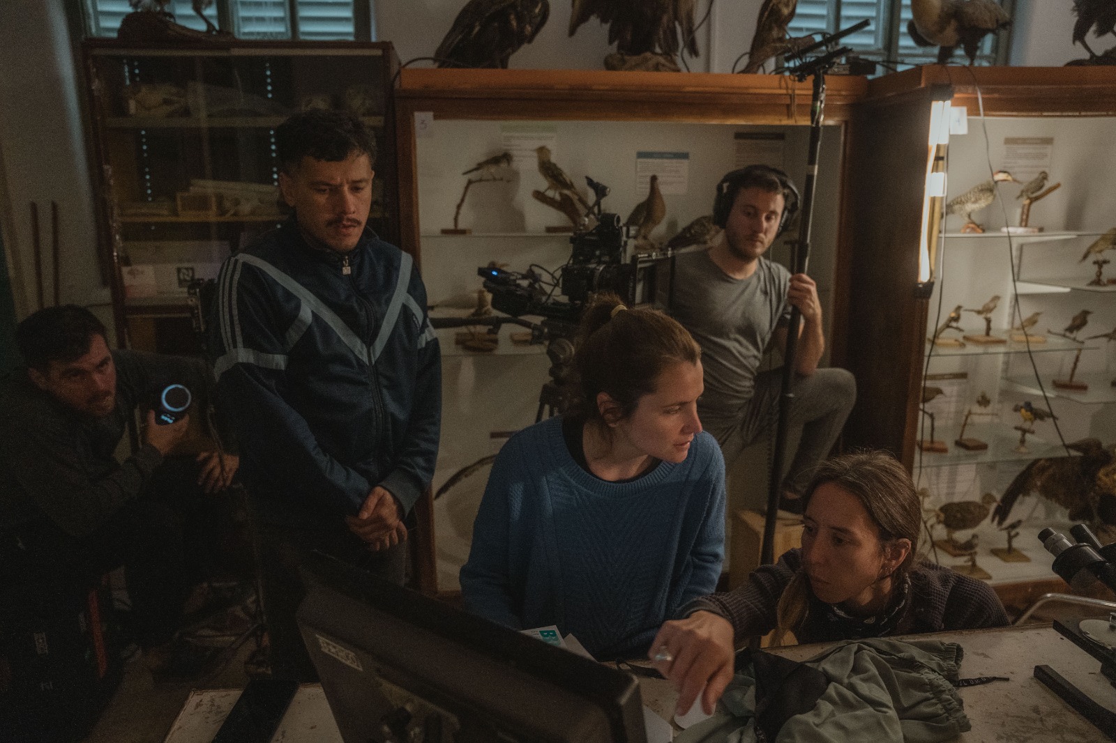 Morpho Azul posta dos