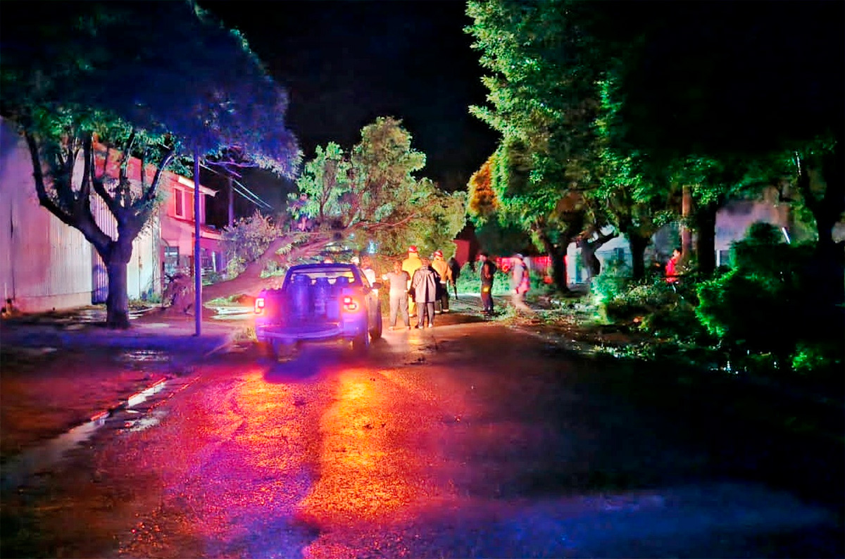 temporal intendente alvear