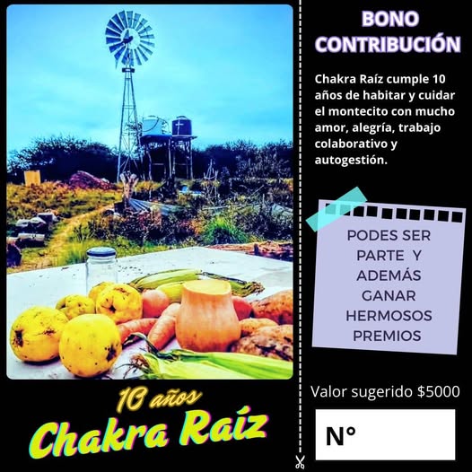 chakra rais