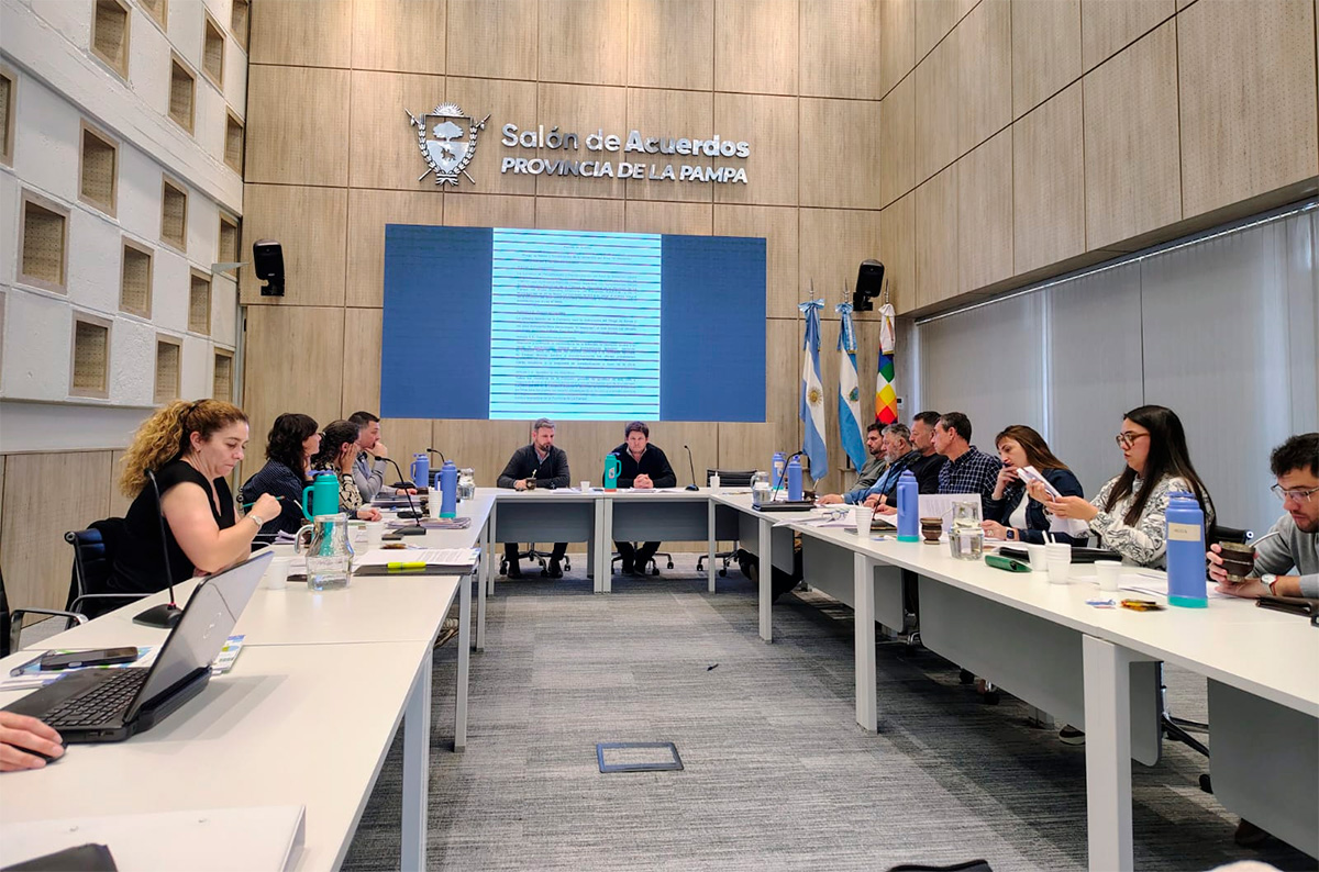 comision medanito dos
