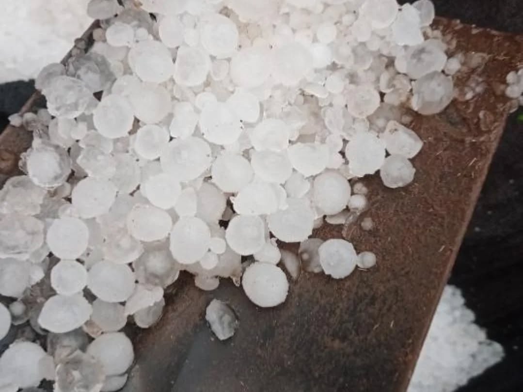 granizox