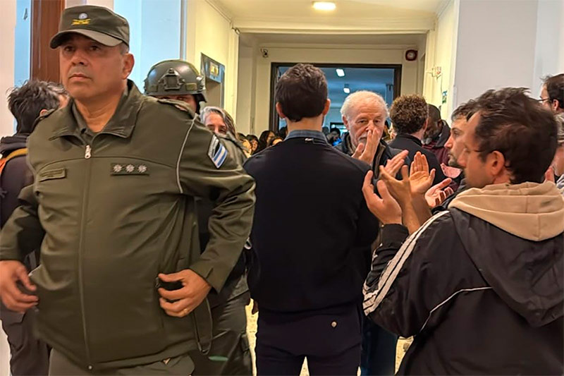 despidos cnea tres