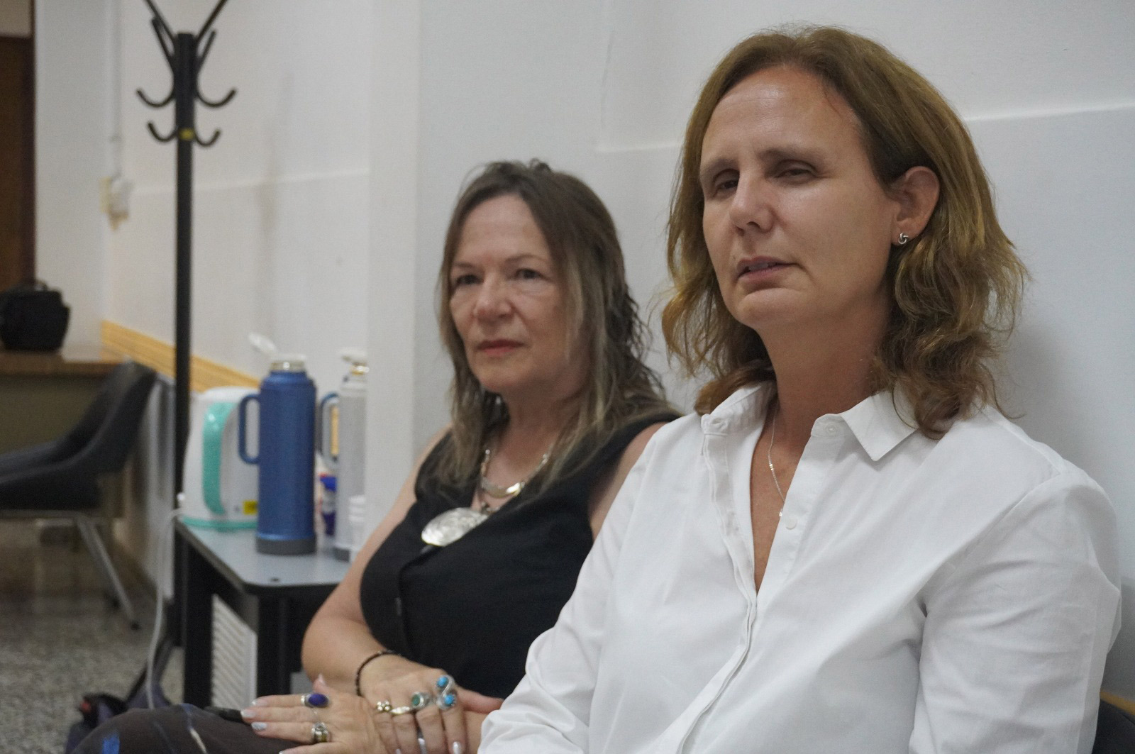 diplomatura genero tres